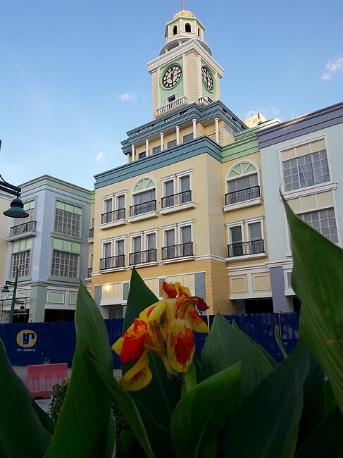 20180216_172632.jpg