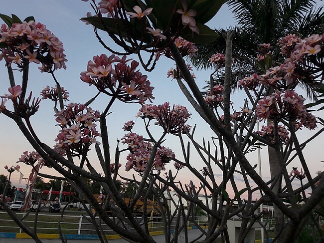20180216_175908.jpg