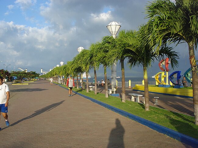 DSC03354.JPG