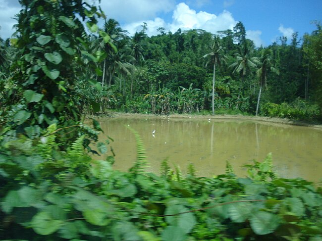DSC03371.JPG