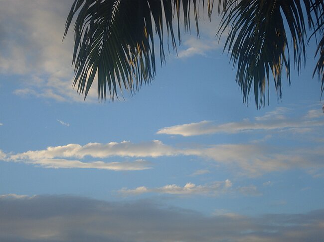 DSC03494.JPG