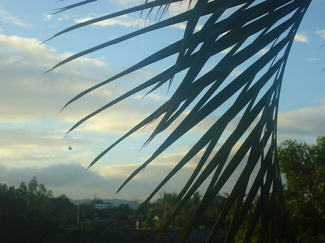 DSC03499.JPG