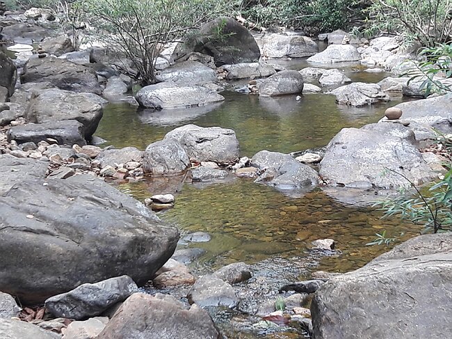 20180202_123035.jpg