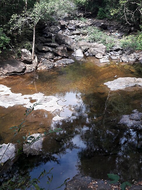 20180202_123843.jpg
