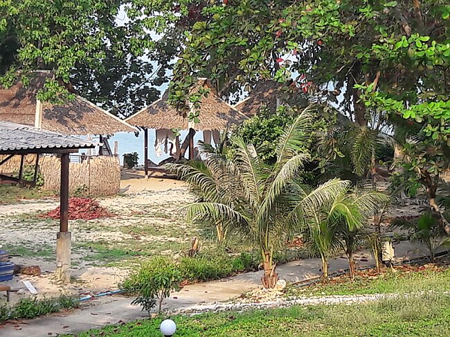 20180203_083624.jpg