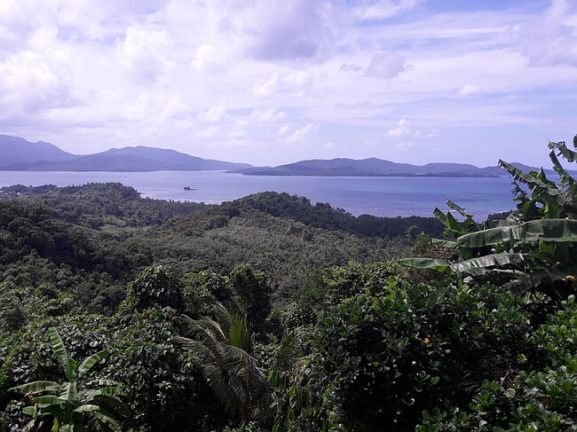 20180208_125117.jpg