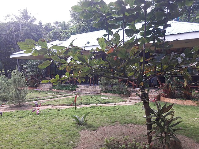 20180208_134016.jpg