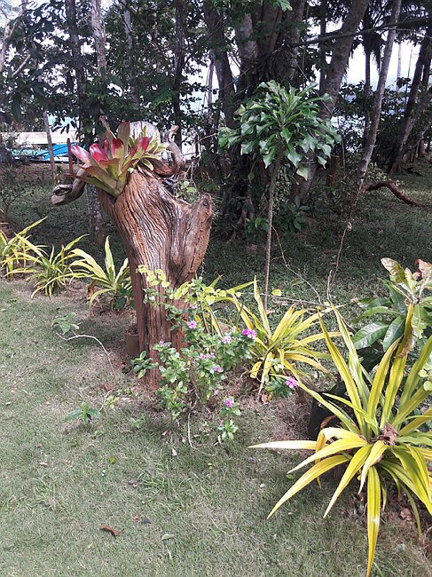 20180208_134035.jpg