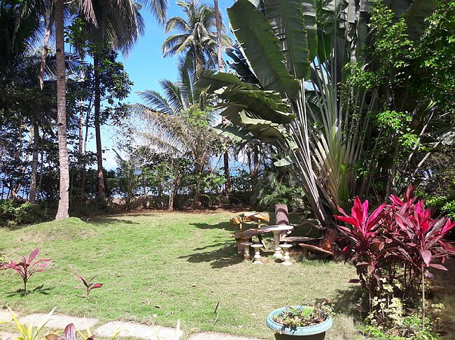 20180208_134408.jpg