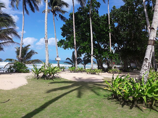 20180208_140928.jpg