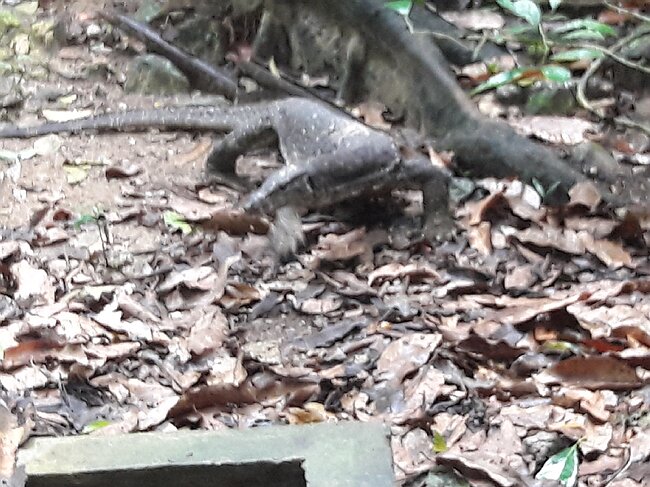 20180209_104050.jpg