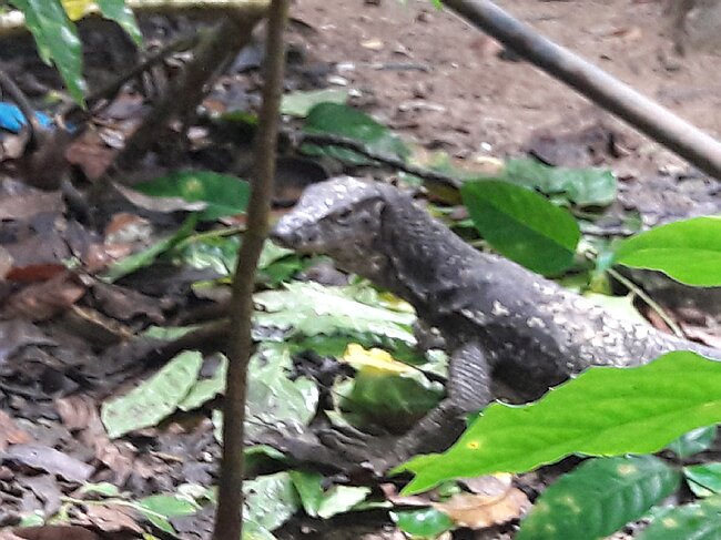 20180209_104209.jpg