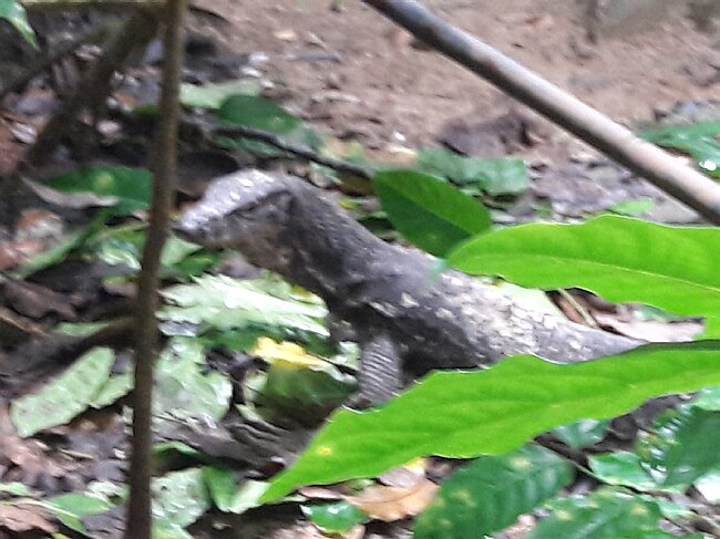 20180209_104210.jpg
