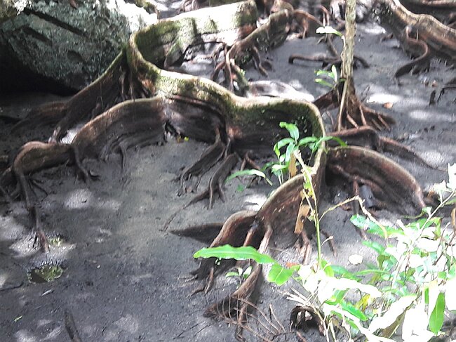 20180209_112234.jpg