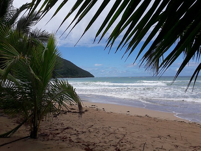 20180209_133736.jpg